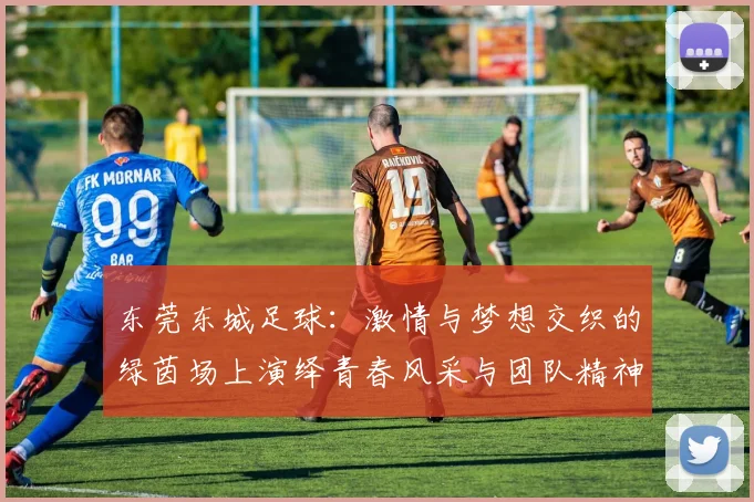 东莞东城足球：激情与梦想交织的绿茵场上演绎青春风采与团队精神