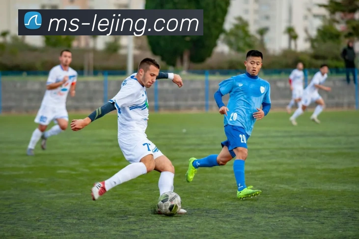 多媒体互动体验